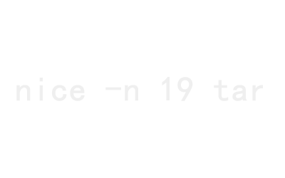 nice命令